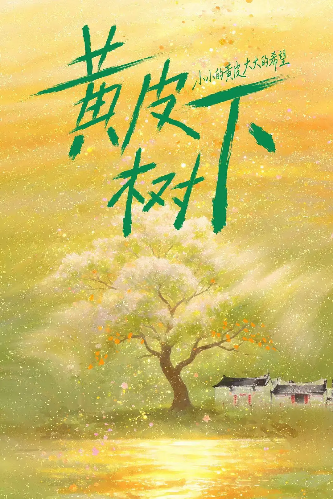 [电视剧]《黄皮树下》(2026)海报