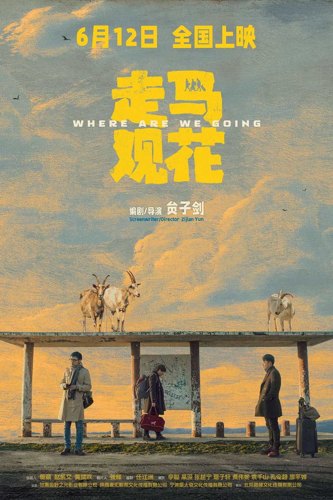 [电影]《走马观花》(2026)海报