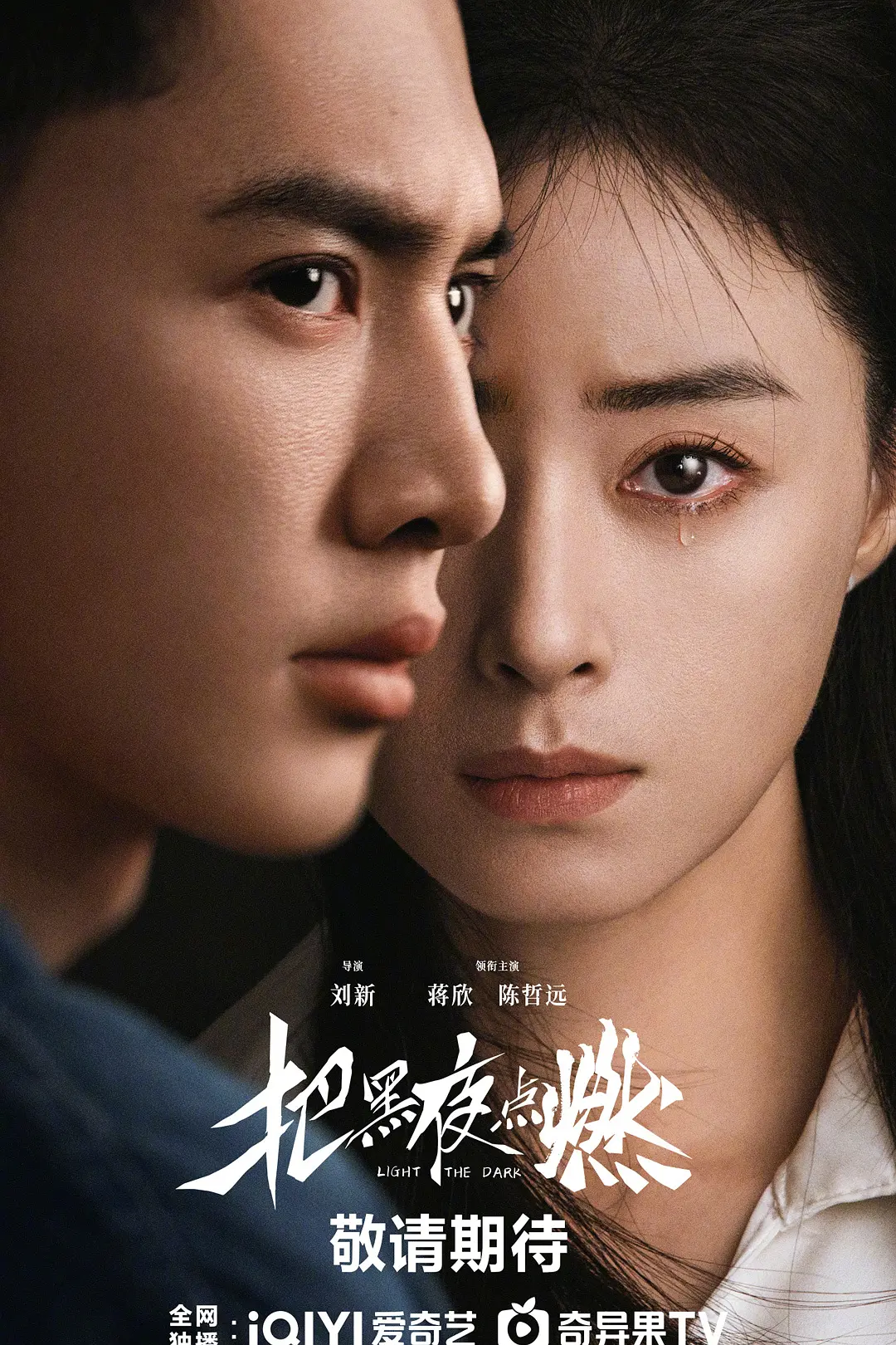 [电视剧]《把黑夜点燃》(2026)海报