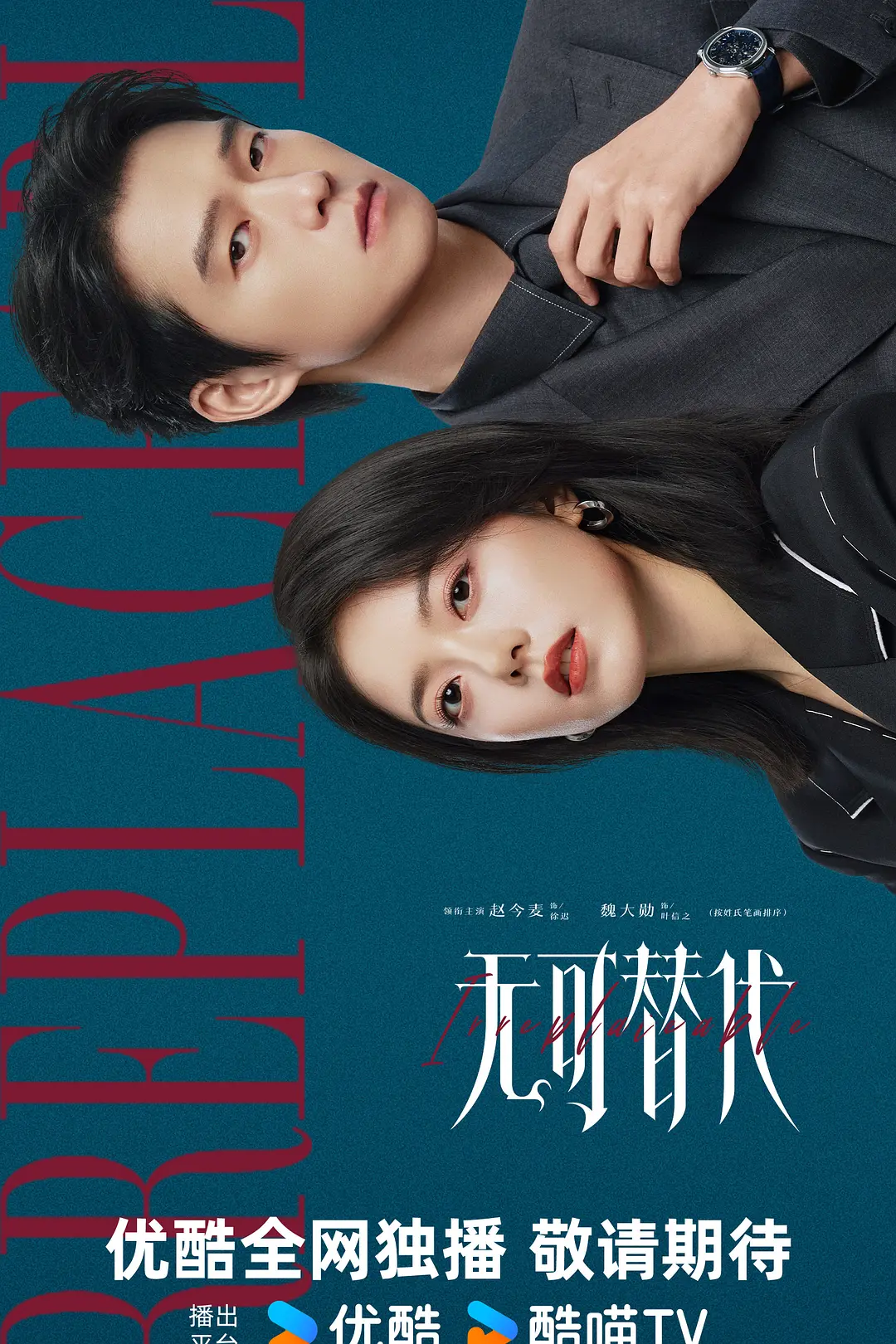 [电视剧]《无可替代》(2026)海报