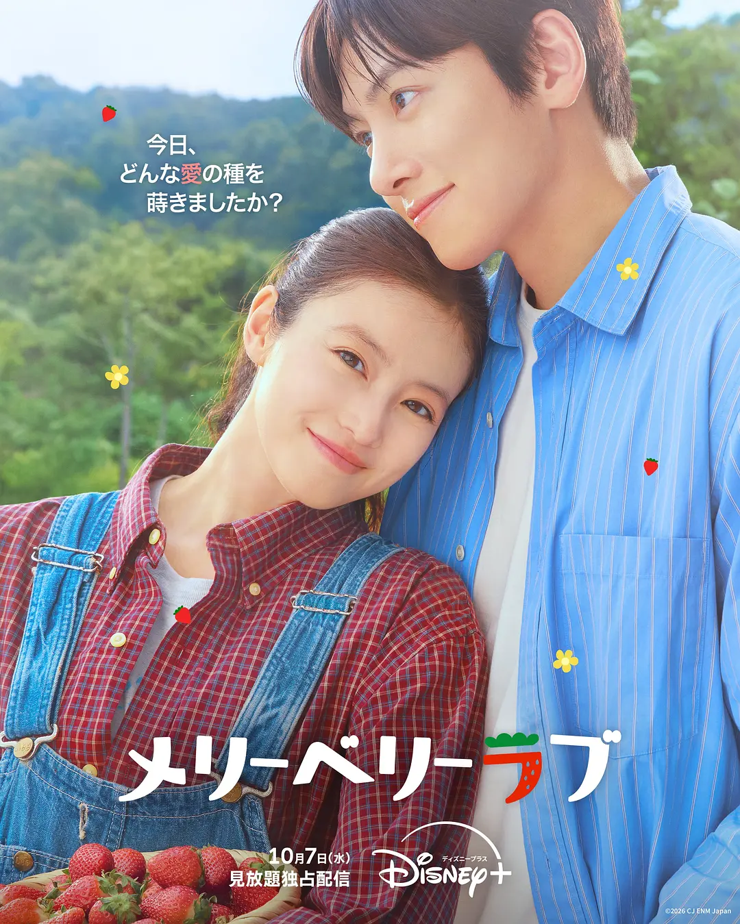 [电视剧]《爱上草莓的季节》(2026)海报
