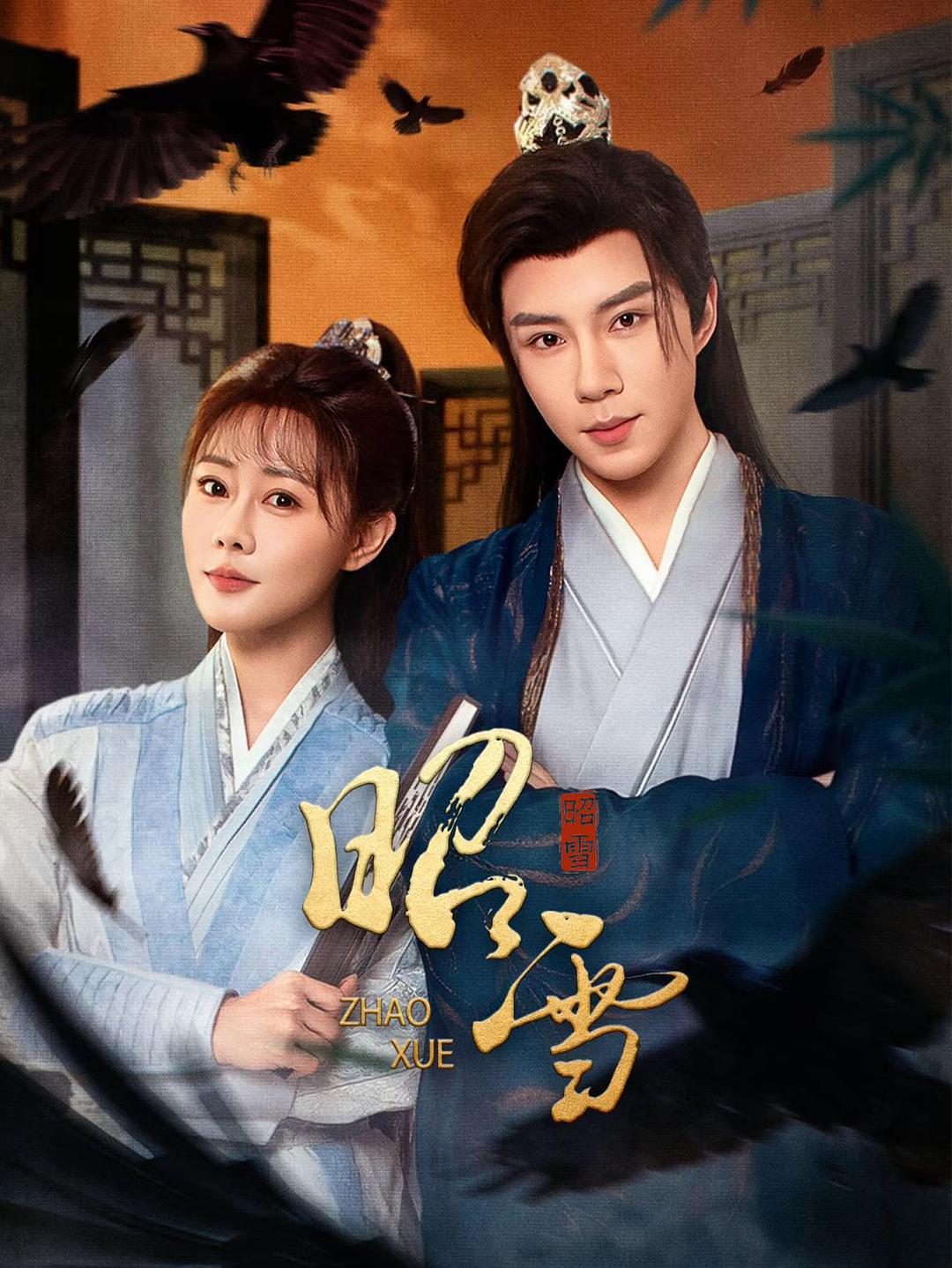 alt="电视剧《昭雪》(2026)宣传海报,呈现女主角苏昭雪女扮男装与御史方济并肩而立的场景,展现古装悬疑与冤案昭雪的核心氛围。"