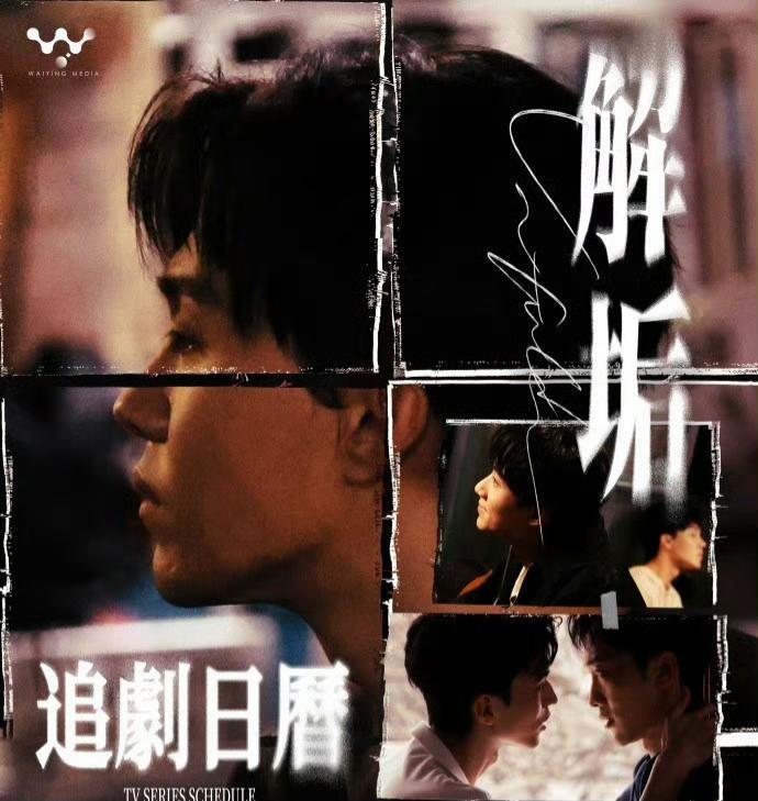 [电视剧]《解垢》(2026)宣传海报，呈现两位主角在昏暗场景中的对峙，展现悬疑与同性情感的紧张氛围。
